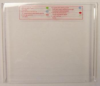 Plastic bulb cover